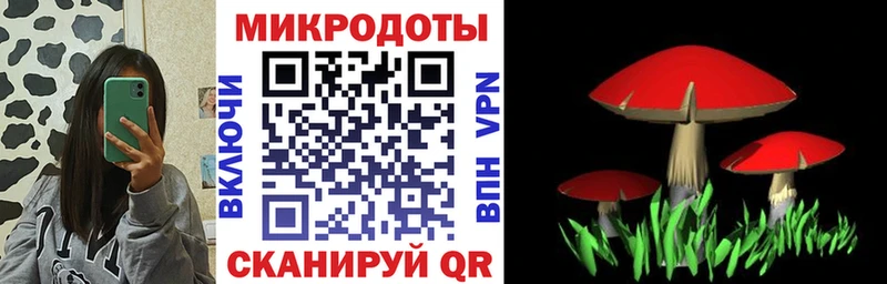 Псилоцибиновые грибы Psilocybe  купить   Верхняя Тура 